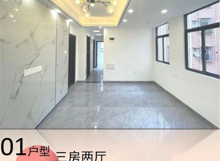 深圳公明薯田埔《万福楼》双地铁站旁的小产权房，旧改拆迁物业（佳兆业已入住）。